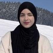 Mr. Sheikh Anzar